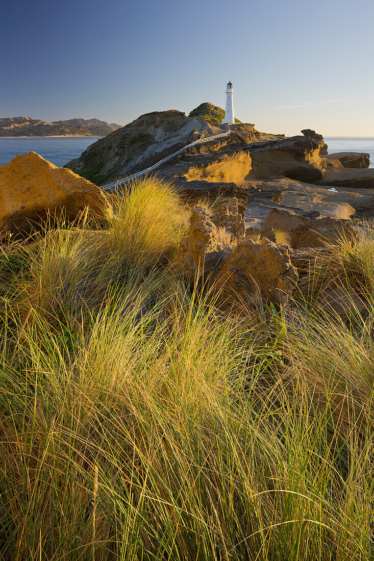 Castle Point lighthouse, Wellington, North Island, New Zealand