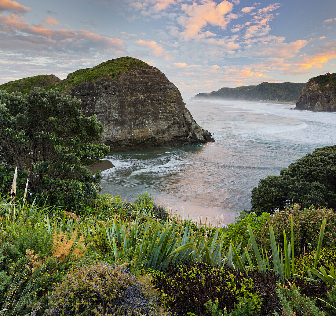 Taitomo Island, Lion Rock, Piha, Auckland, Nordinsel, Neuseeland