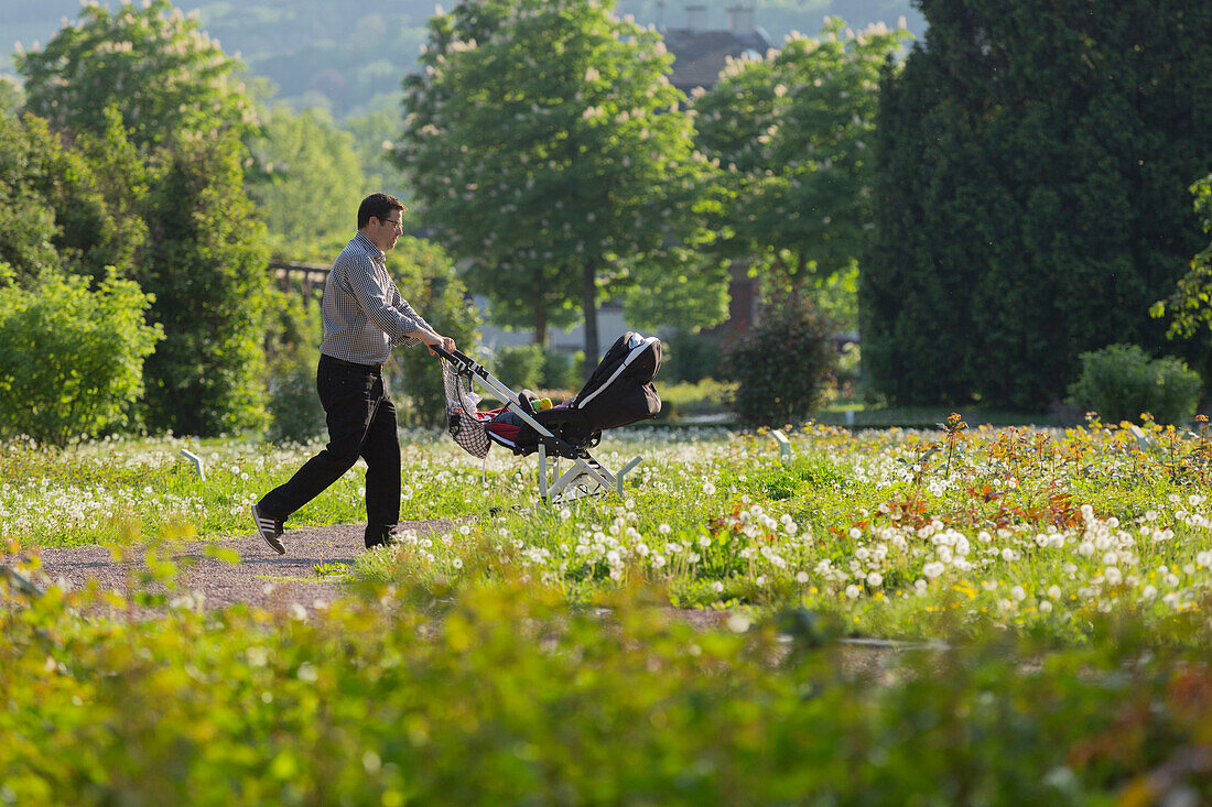 Father pushing pram, flower bed, Doblhoff park, Baden near Vienna, Lower Austria, Austria