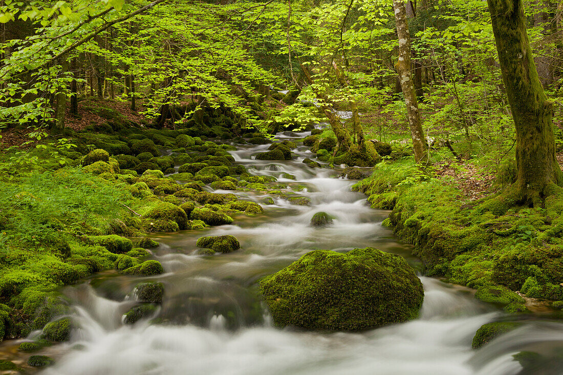 Orbe river, Vallorbe, Waadt, Switzerland