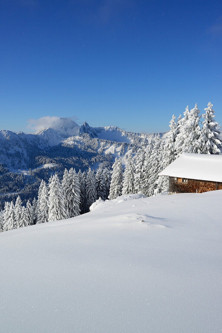 Alpine hut in front of snow-covered trees with mountain scenery in background, Rosskopf, Bavarian Prealps, Upper Bavaria, Germany