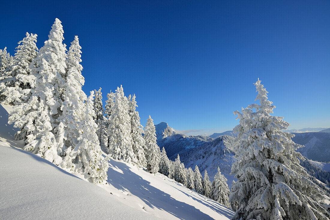 Winter mountains scenery, Breitenstein, Mangfall Mountains, Bavarian Prealps, Upper Bavaria, Germany