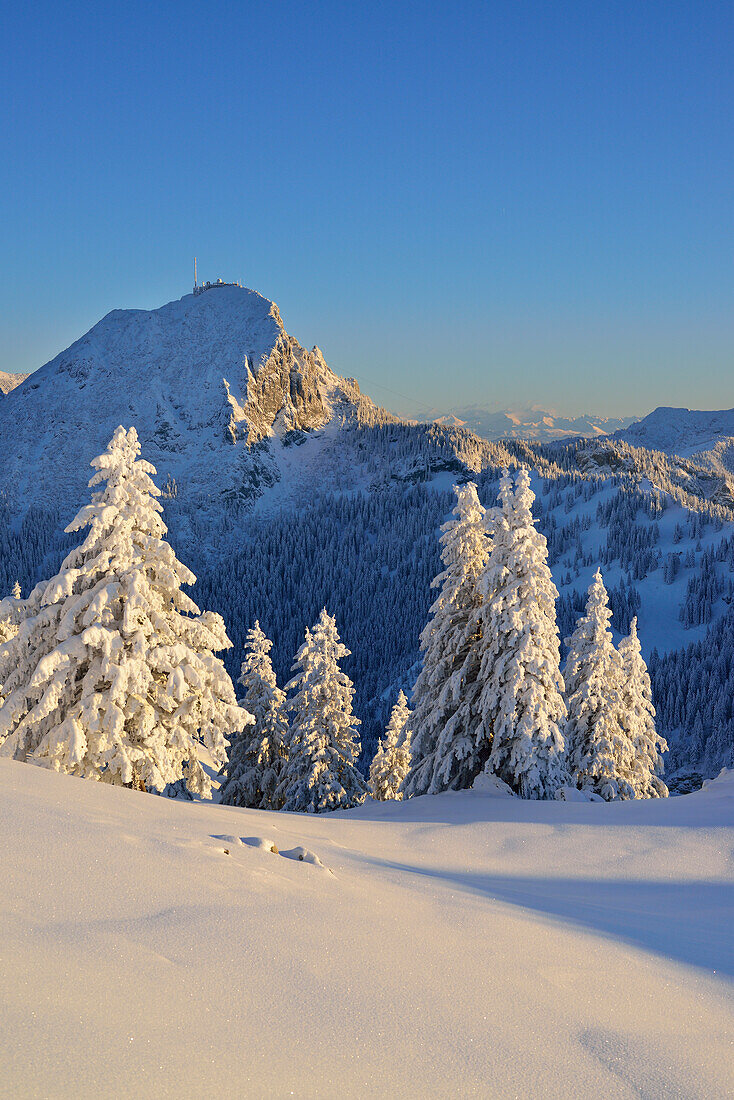 Winter mountain scenery with mount Wendelstein, Breitenstein, Mangfall Mountains, Bavarian Prealps, Upper Bavaria, Bavaria, Germany