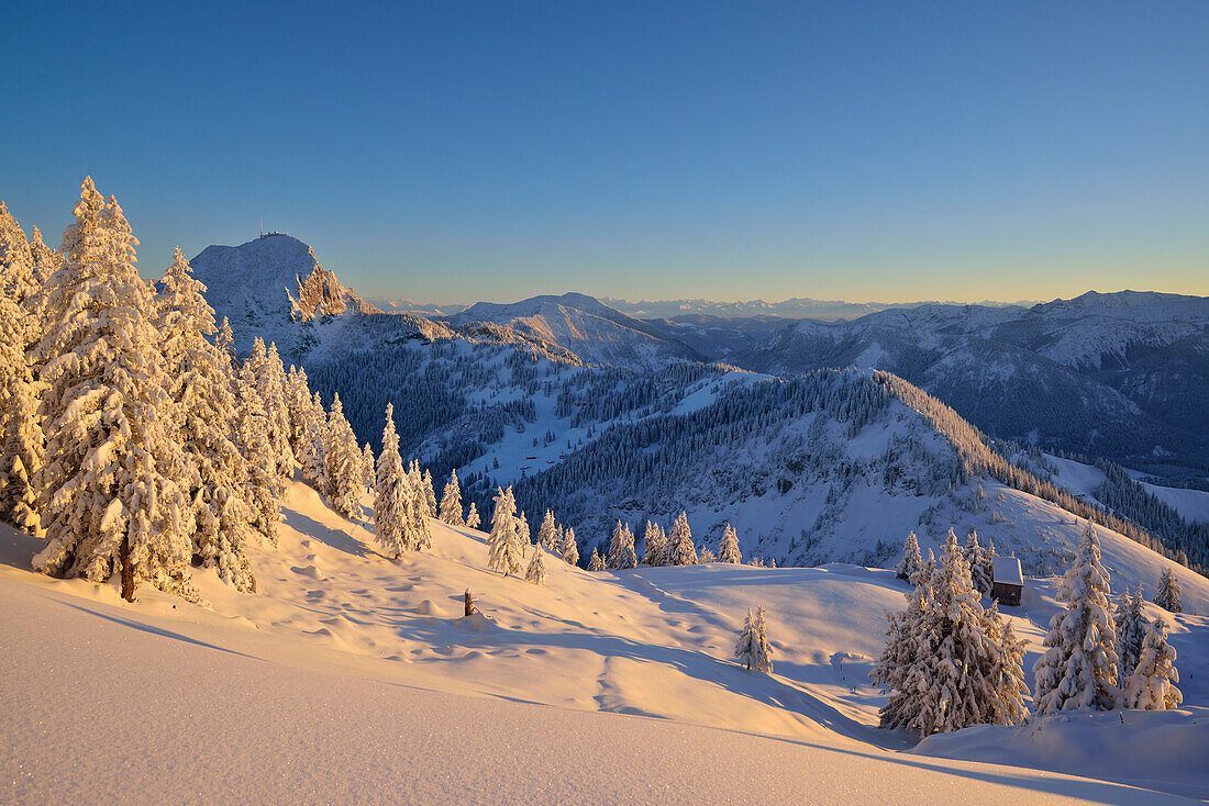 Winterlandschaft mit Wendelstein im Hintergrund, Breitenstein, Mangfallgebirge, Bayerische Voralpen, Oberbayern, Bayern, Deutschland