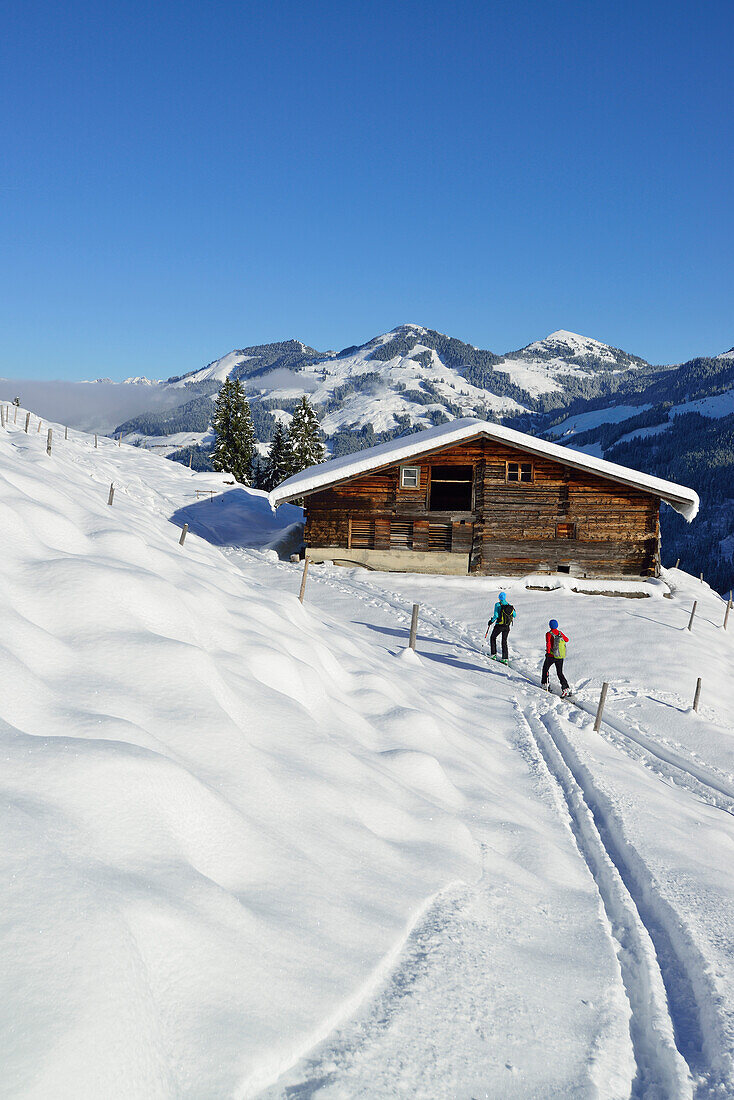 Zwei Skitourgeherinnen steigen zum Steinberg auf, Kitzbüheler Alpen, Tirol, Österreich