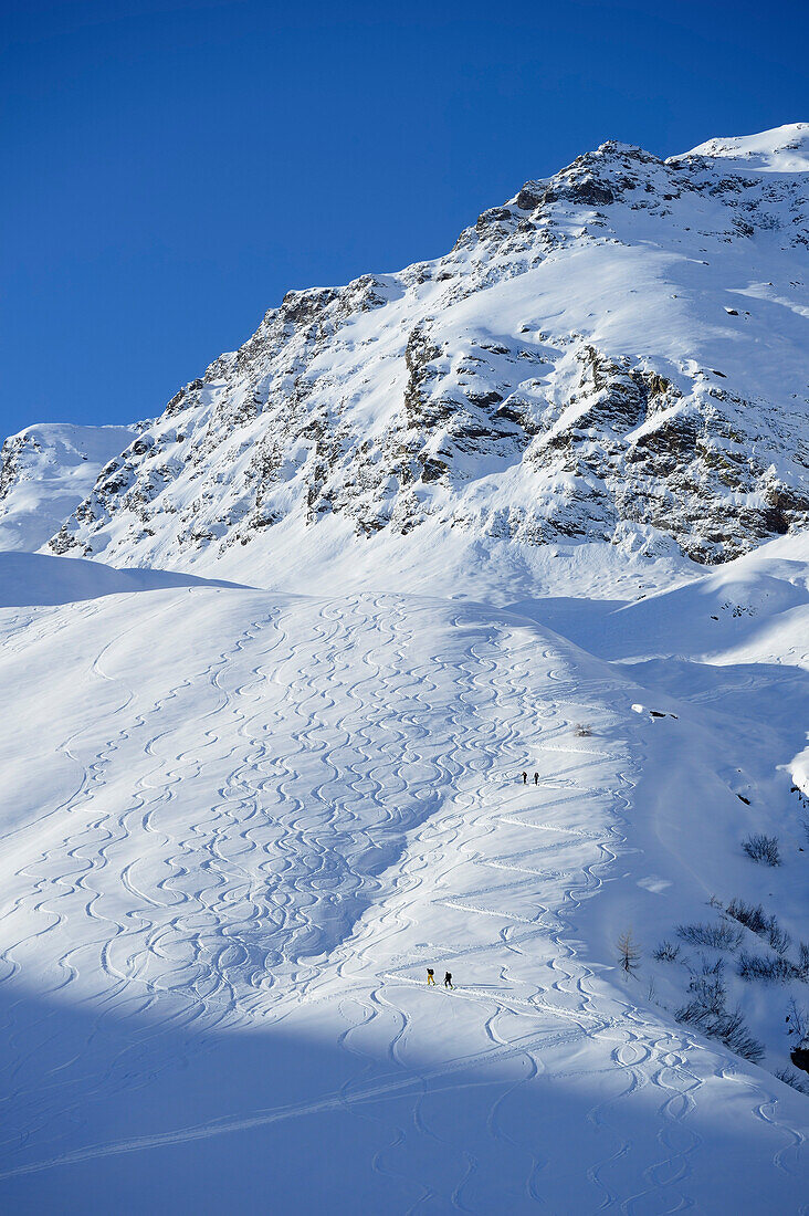 Abfahrtsspuren und Aufstiegsspuren von Skitourengehern, Ellesspitze, Pflerschtal, Stubaier Alpen, Südtirol, Italien
