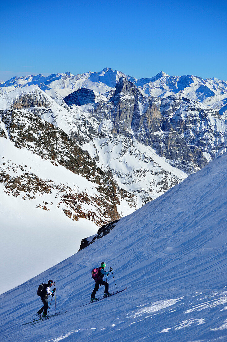 Zwei Skitourengeher steigen zur Agglsspitze auf, Tribulaun und Zillertaler Alpen im Hintergrund, Agglsspitze, Pflerschtal, Stubaier Alpen, Südtirol, Italien