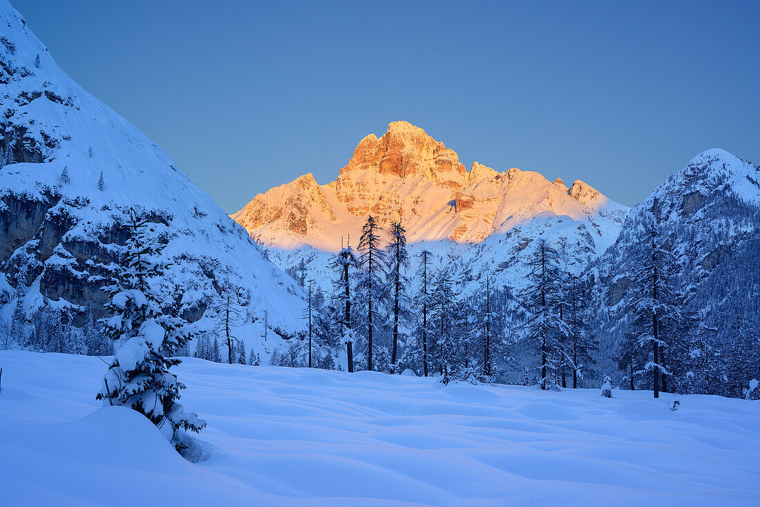 Hohe Gaisl im Morgenlicht, Dolomiten, Südtirol, Italien