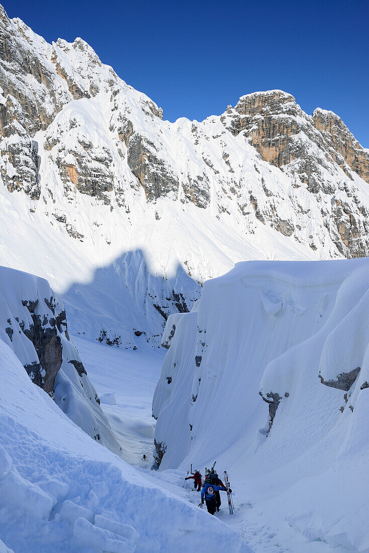 Back-country skiers ascending through a canyon to Cristallo wind gap, Cristallo, Dolomites, Belluno, Veneto, Italy