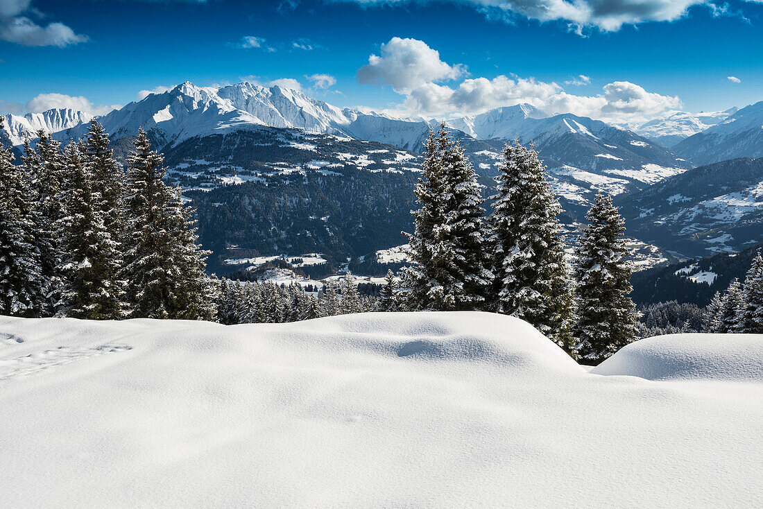 Winterlandschaft bei Flims, Laax und Rheintal, Kanton Graubünden, Schweiz