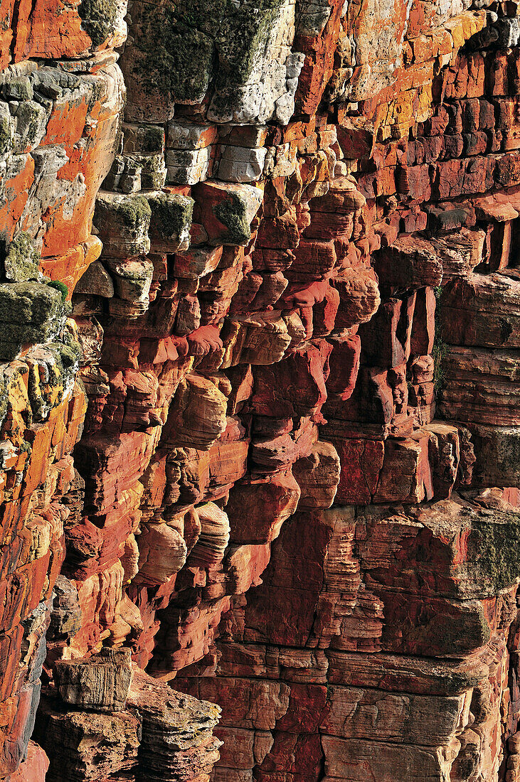 Close-up of sandstone cliff, Hoy, Orkney Islands, Scotland, Great Britain