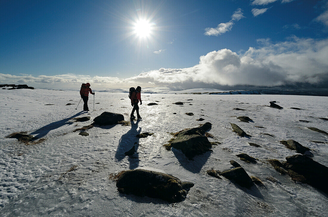 Zwei Bergsteiger auf dem Gipfelplateau des Lochnagar, Cairngorms, Grampian Mountains, Highlands, Schottland, Großbritannien