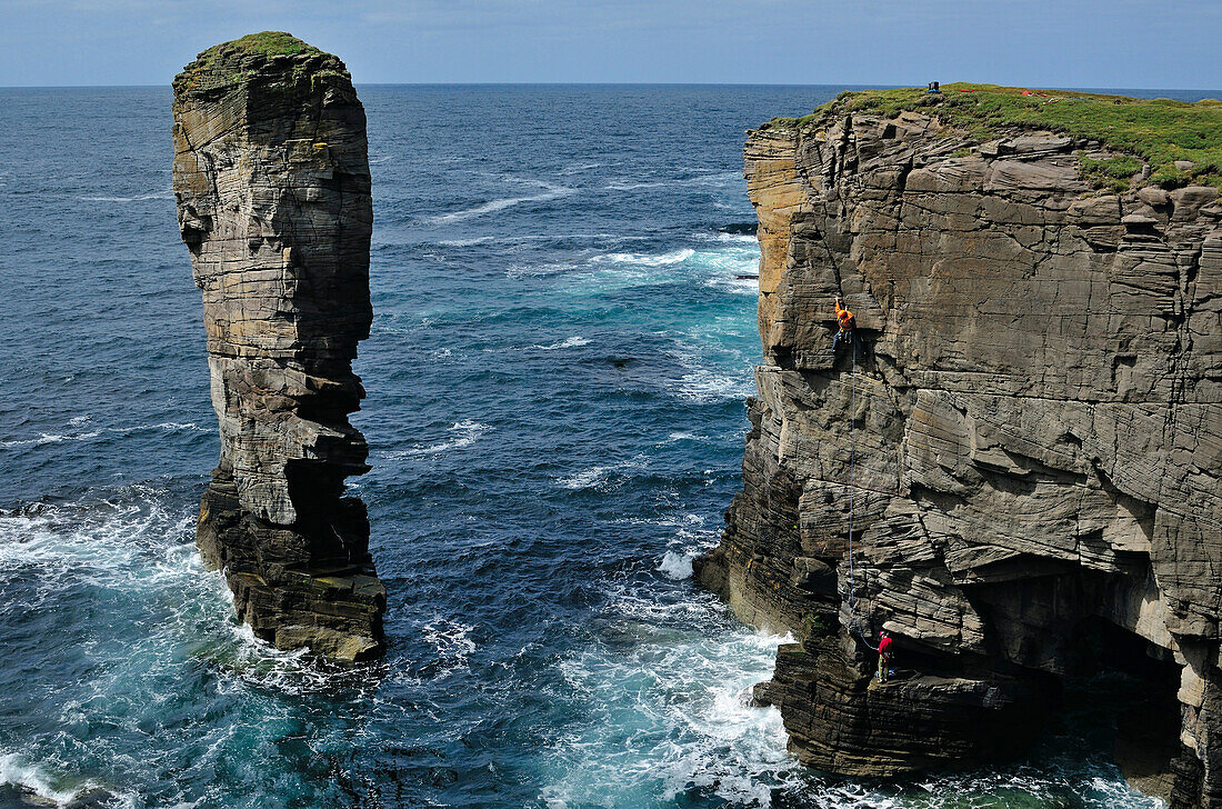 Climber at rocky coast, Yesnaby Castle, Mainland, Orkney Islands, Scotland, Great Britain