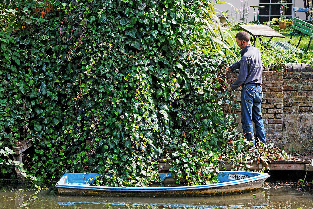 man trimming the hedge, Regent's Canal, Camden, London, England, United Kingdom