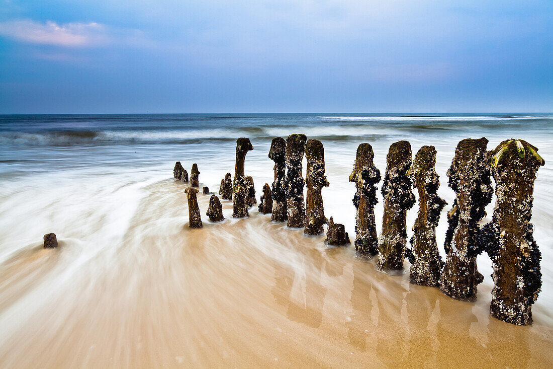 Buhnen am Strand im Abendlicht, Nordsee, Rantum, Sylt, Schleswig-Holstein, Deutschland