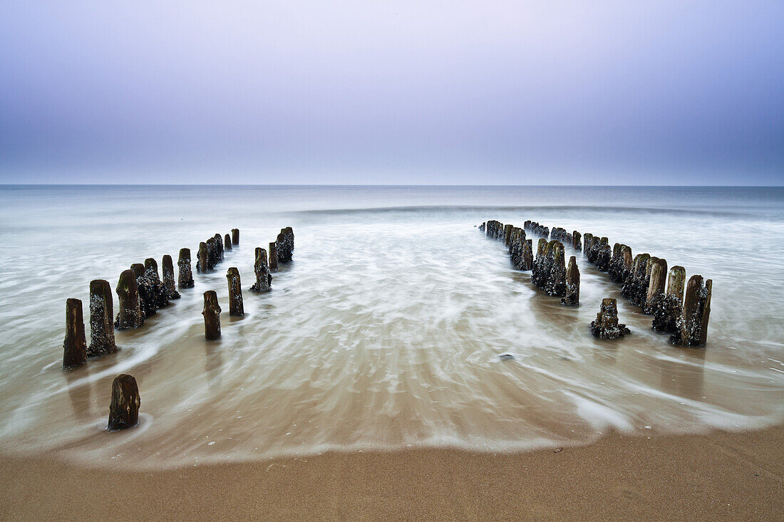 Buhnen am Strand im Abendlicht, Nordsee, Rantum, Sylt, Schleswig-Holstein, Deutschland