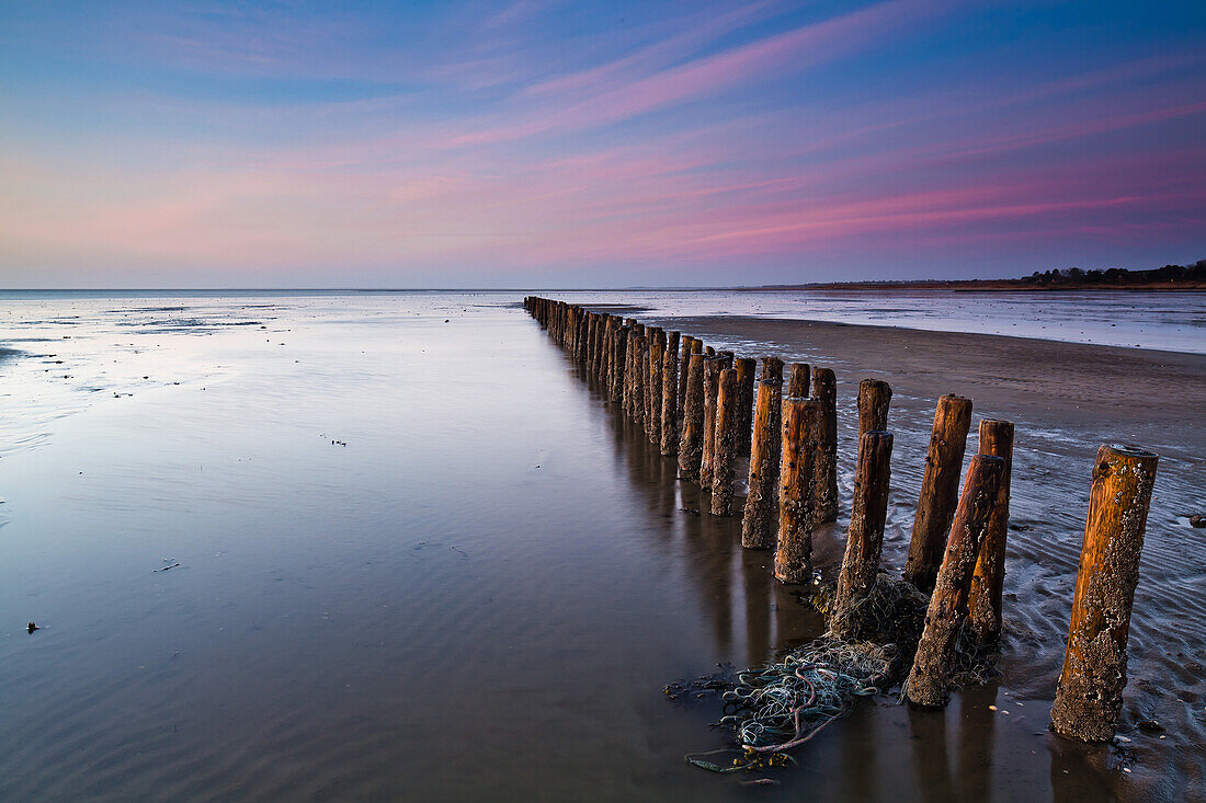 Groynes on the beach in the evening light, North Sea, Kampen, Sylt, Schleswig-Holstein, Germany