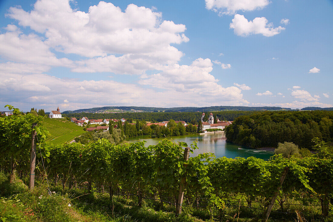 View of Rheinau monastery and vineyards and St Nikolaus' church on the river Rhine, Hochrhein, Rheinau, Canton of Zurich, Switzerland, Europe