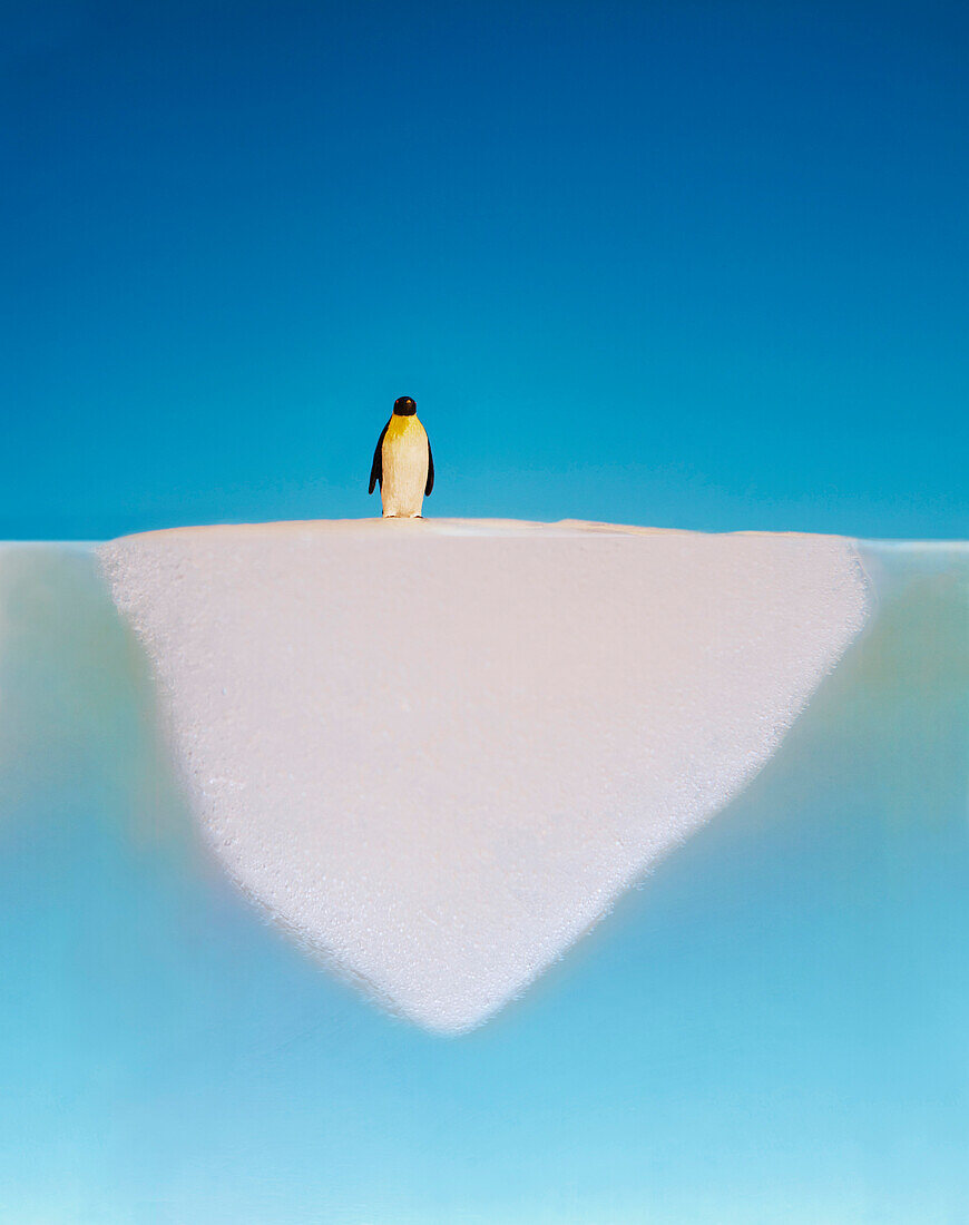 Penguin walking on melting glacier, San Francisco, California, USA