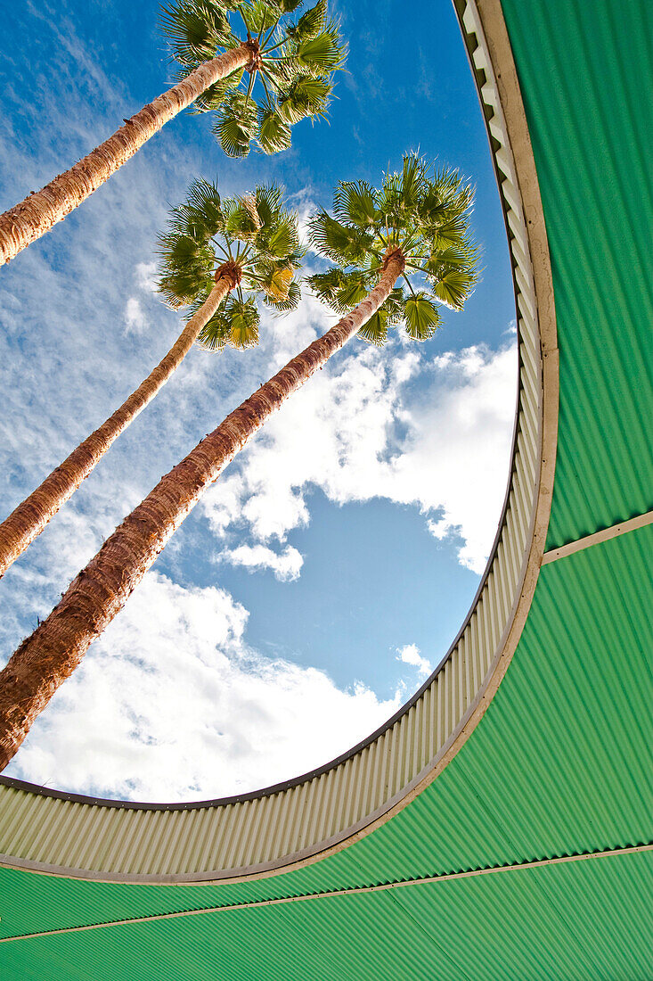 Palm Trees Through Architecture, Palm Springs, California, USA