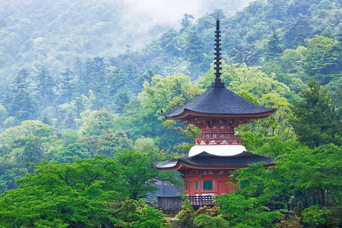Top of a Pagoda, Honshu island, Japan, Asia