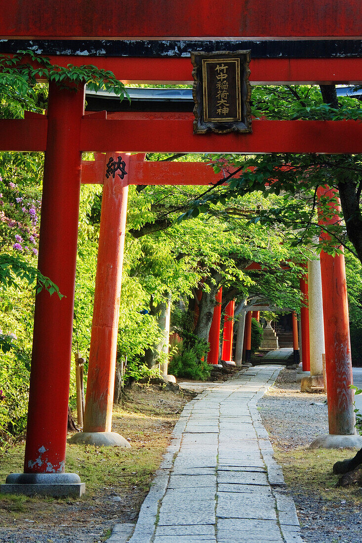 Stone Path and Japanese Arches, Kyoto, Japan
