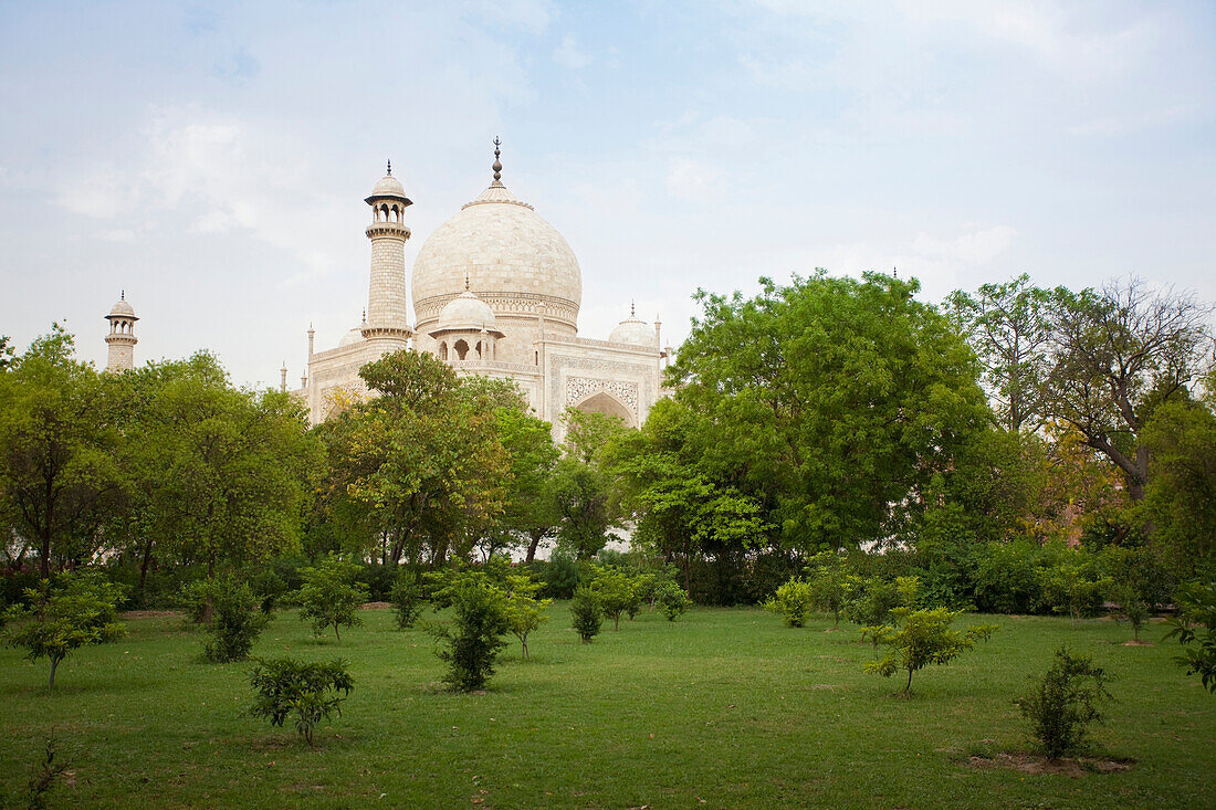 Taj Mahal From a Grass lawn, Agra, Uttar Pradesh, India