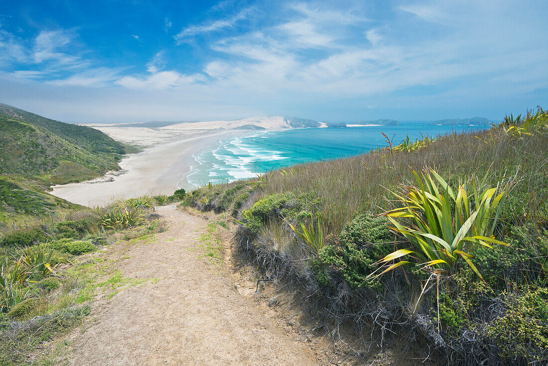 Dirt path on coastal hillside, Te Werahi, Cape Reinga, New Zealand, Te Werahi, Cape Reinga, new zeland