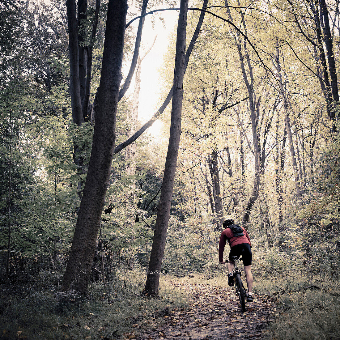 Caucasian man riding mountain bike in forest, Philadelphia, Pennsylvania, USA