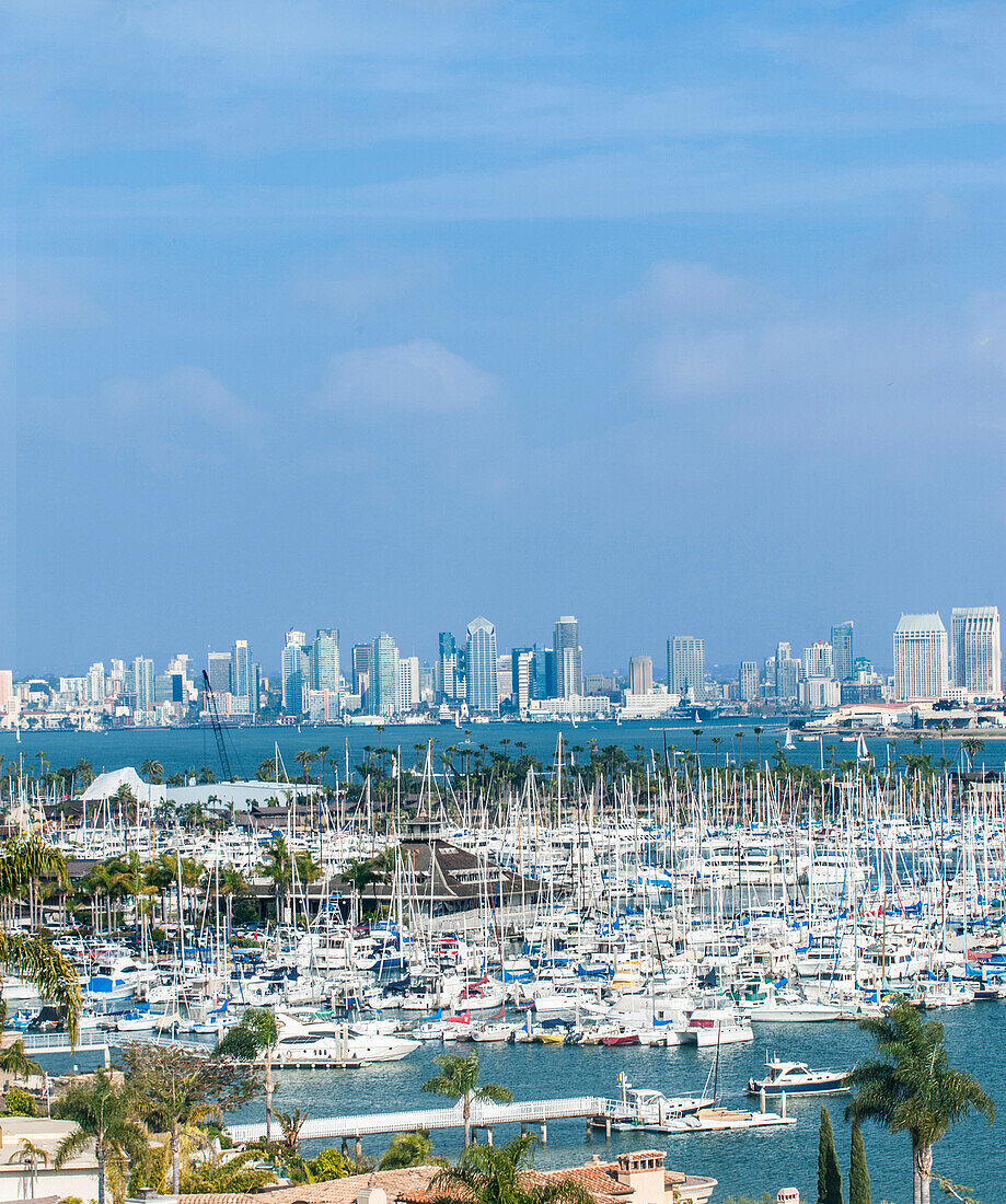 City skyline overlooking harbor, San Diego, California, United States, San Diego, California, USA