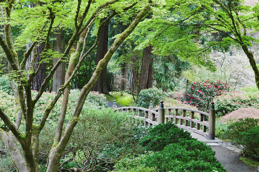 Wooden bridge in Japanese Garden, Portland, Oregon, United States, Portland, Oregon, USA