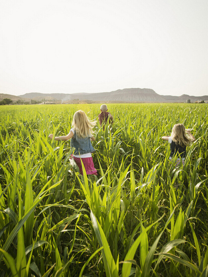 Children playing in corn field, Saint George, Utah, USA