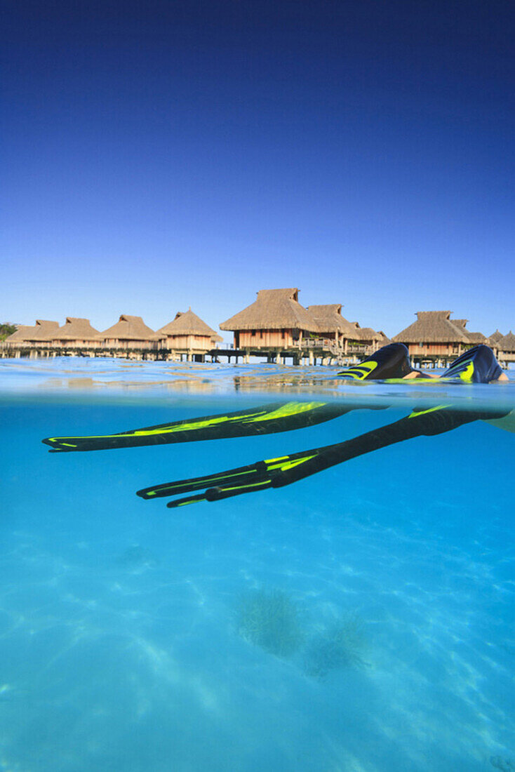 Snorkeler's flippers in tropical water, Bora Bora, French Polynesia, Bora Bora, Bora Bora, French Polynesia