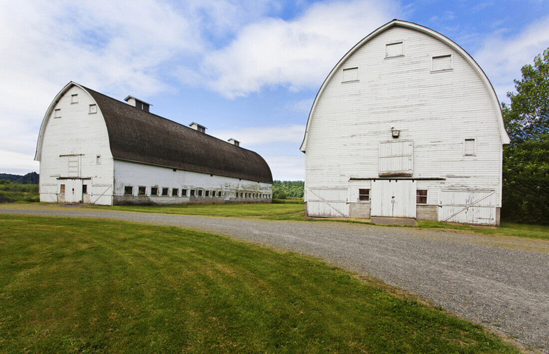 Old barns on farm, Olympia, Washington, United States, Olympia, Washington, USA