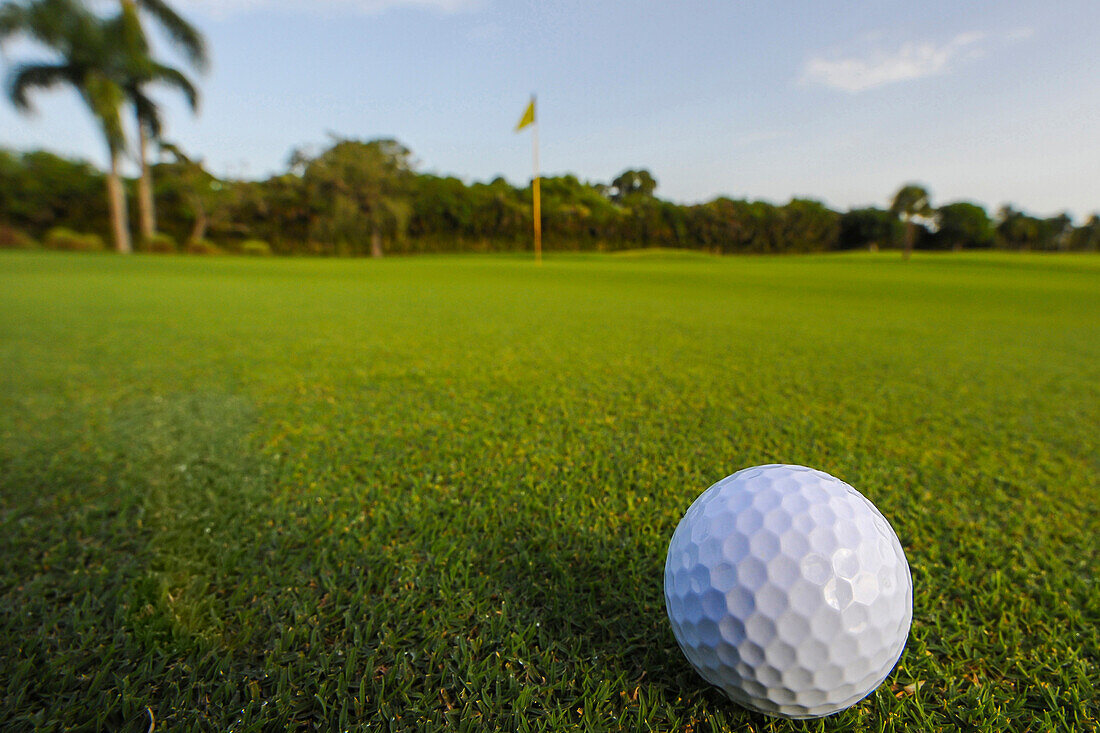 Golf ball rolling on putting green, Palm Beach, Florida, USA
