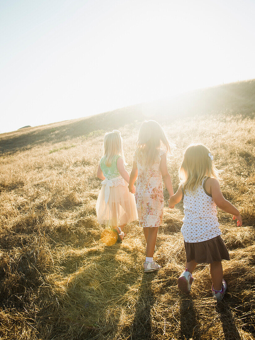 Children holding hands in rural field