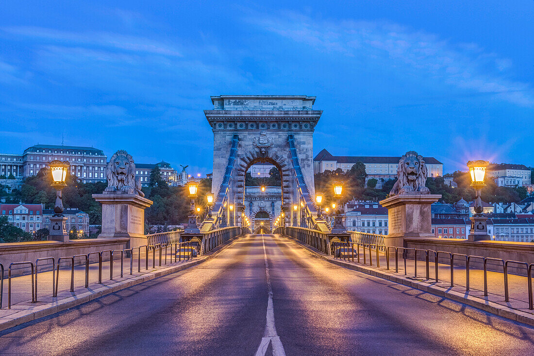 Lion statues and illuminated streetlamps along Chain Bridge, Budapest, Hungary, Budapest, Central Hungary, Hungary