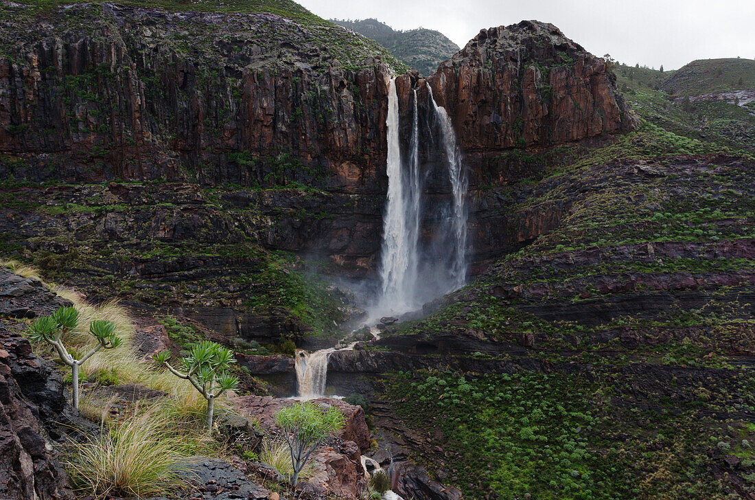 Cascada El Escobar, Wasserfall, Barranco del Charco Azul, Schlucht im Talschluß von El Risco, bei Agaete, Naturschutzgebiet, Naturpark Tamadaba, UNESCO Biosphärenreservat, Westküste, Gran Canaria, Kanarische Inseln, Spanien, Europa