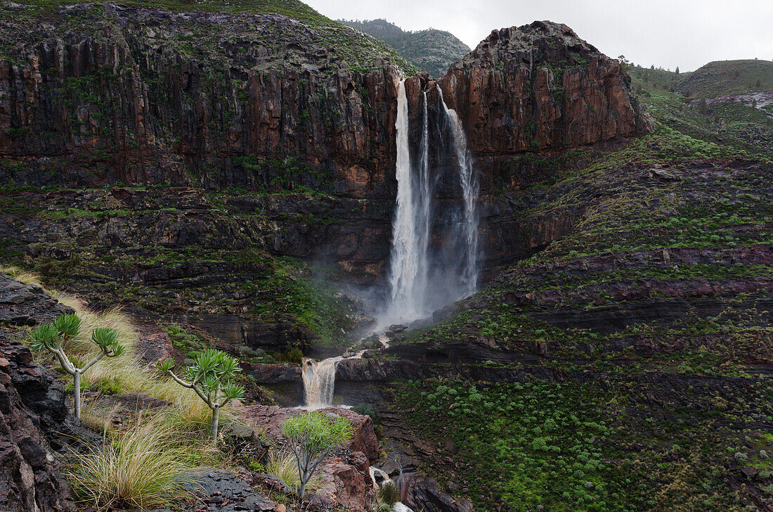 Cascada El Escobar, waterfall, Barranco del Charco Azul, gorge at the end of El Risco valley, near El Risco, near Agaete, Natural Preserve, Parque Natural de Tamadaba, UNESCO Biosphere Reserve, West coast, Gran Canaria, Canary Islands, Spain, Europe