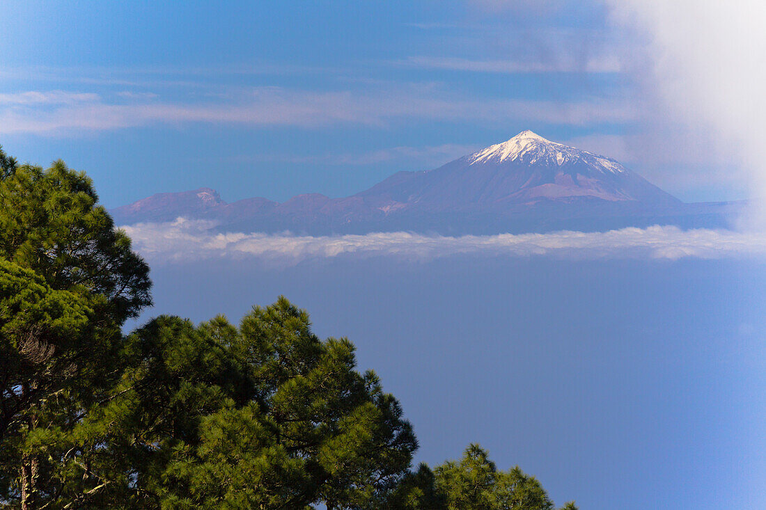 View from Tamadaba pine forest to Teide volcano with snow, mountains, Natural Preserve, Parque Natural de Tamadaba, UNESCO Biosphere Reserve, West coast, Gran Canaria, Canary Islands, Spain, Europe