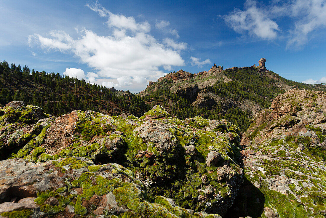 Roque Nublo, volcanic rock, landmark, Parque Rural del Nublo, natural preserve, near Tejeda, UNESCO Biosphere Reserve, centre of the island, Gran Canaria, Canary Islands, Spain, Europe