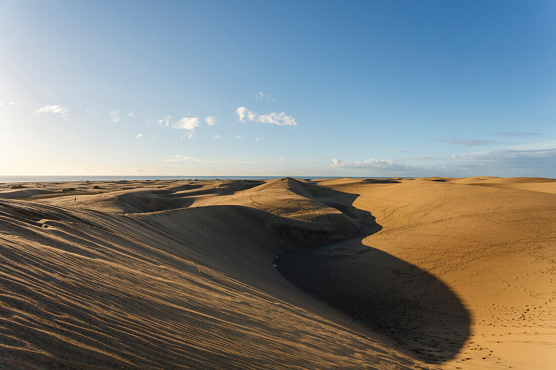 Dunes of Maspalomas, Dunas de Maspalomas, natural reserve, Maspalomas, municipality of San Bartolome de Tirajana, Gran Canaria, Canary Islands, Spain, Europe