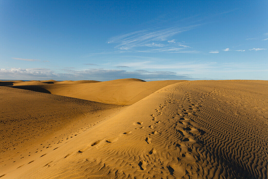 Dunes of Maspalomas, Dunas de Maspalomas, natural reserve, Maspalomas, municipality of San Bartolome de Tirajana, Gran Canaria, Canary Islands, Spain, Europe