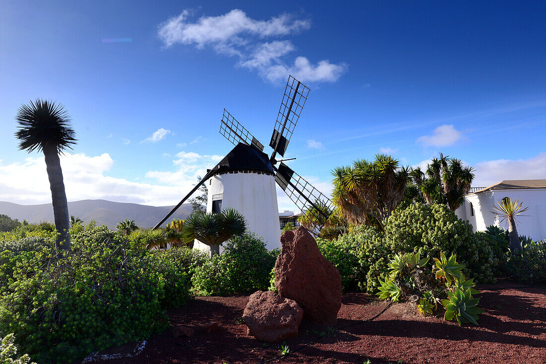 Mill near Antigua, Fuerteventura, Canary Islands, Spain