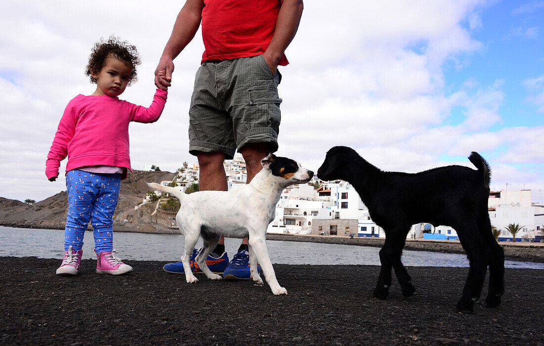 Hund und Lamm am Strand, Las Playitas, Fuerteventura, Kanarische Inseln, Spanien