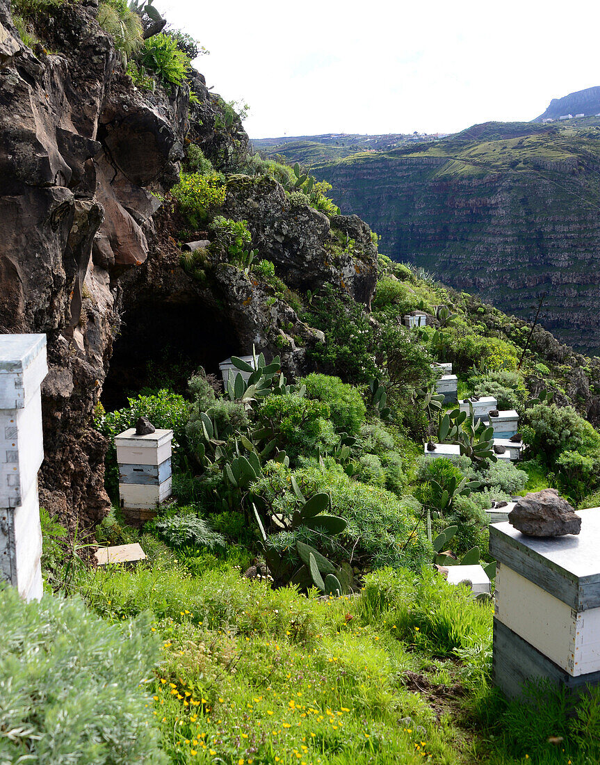Bienenstöcke, bei El Cercado, Valle Gran Rey, La Gomera, Kanarische Inseln, Spanien