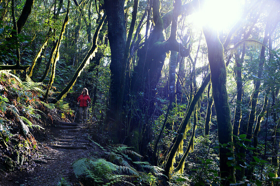 Frau wandert im Lorbeerwald bei Hermigua, La Gomera, Kanarische Inseln, Spanien