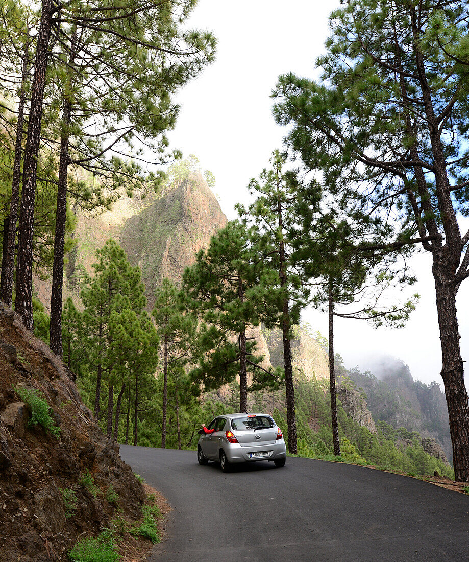 Teerstraße zum La Cumbrecita, Caldera de Taburiente, La Palma, Kanarische Inseln, Spanien