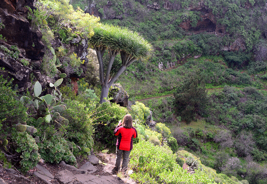 Woman hiking near Puntagorda, La Palma, Canary Islands, Spain