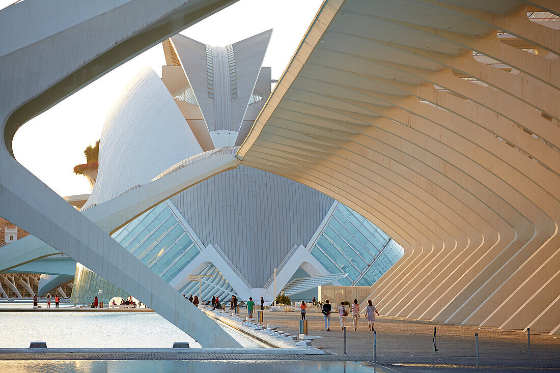 CAC. Architekt Santiago Calatrava, Ciudad de las Artes y de las Ciencias. Stadt der Künste und der Wissenschaften. Valencia. Comunidad Valenciana. Spanien.